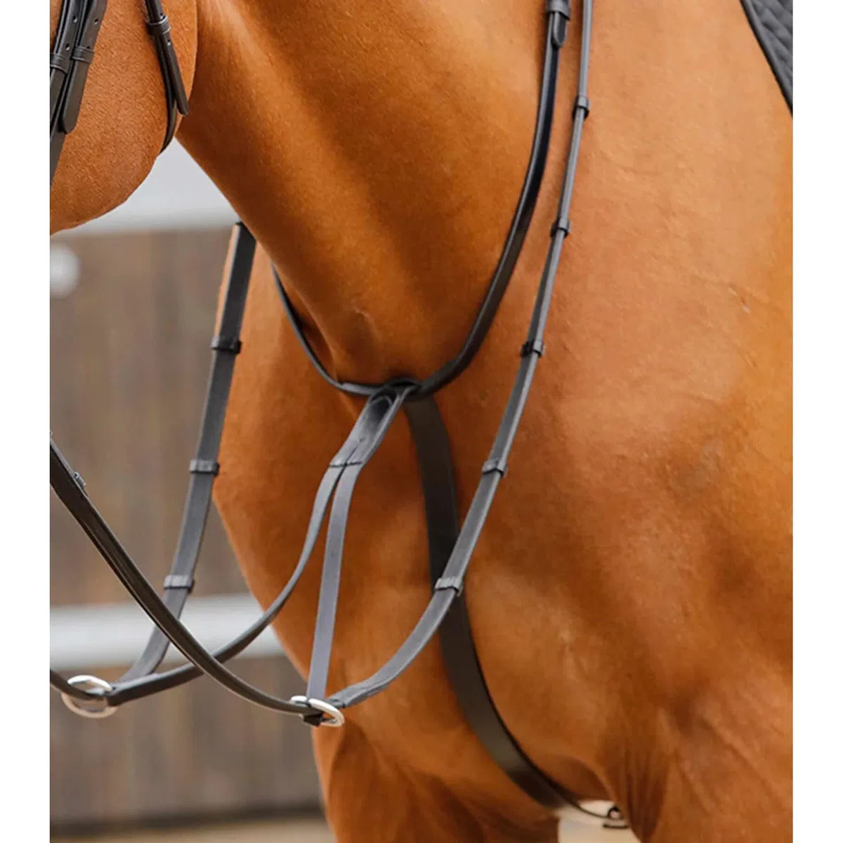 Premier Equine Martingala para Caballos Fuscaldo