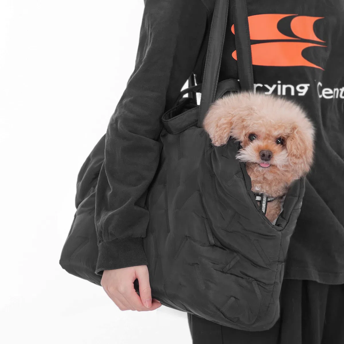 A 4 Pet Bolsa para perros y gatos, lavable con cremallera, bolsa de transporte para perros pequeños y medianos, cachorros, M: 35 x 22 x 30 cm, color negro