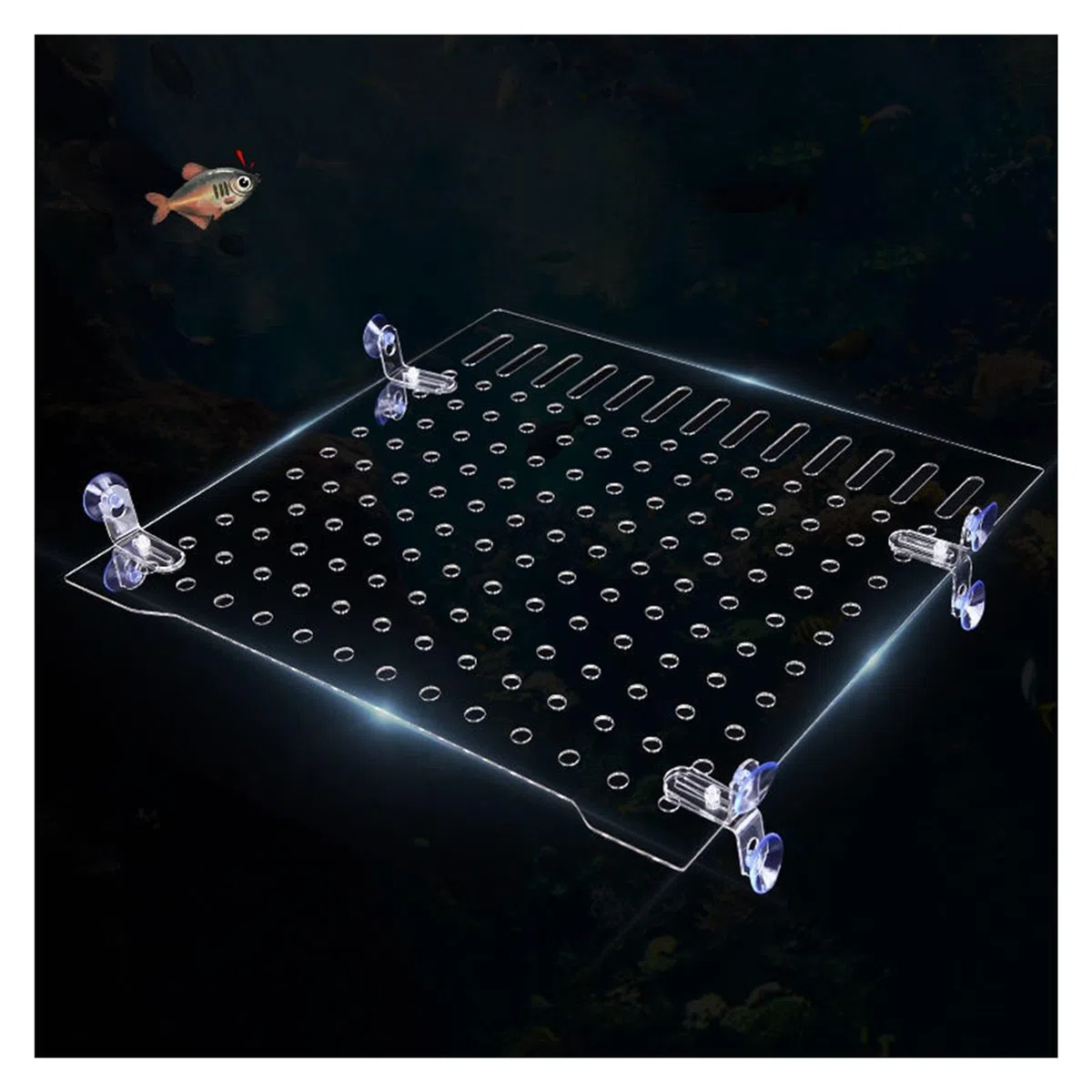 Separador De Acrílico para Acuario Separador para Pecera Rejilla De Aislamiento De Acrílico con Ventosas para Aislamiento De Peces Multiusos(5mm Thick)
