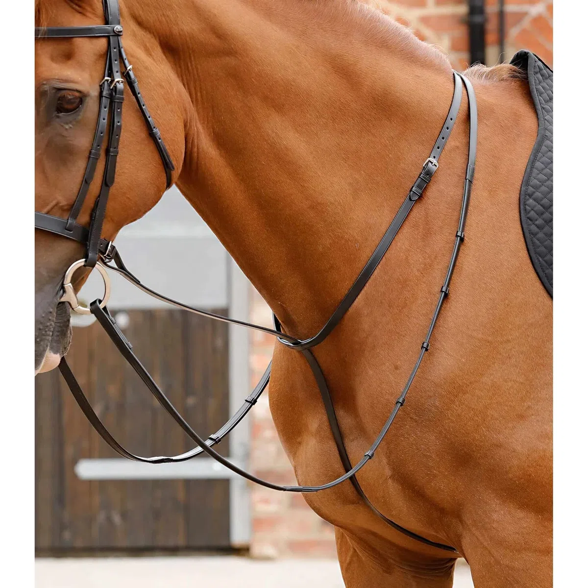 Premier Equine Martingala para Caballos Gressan