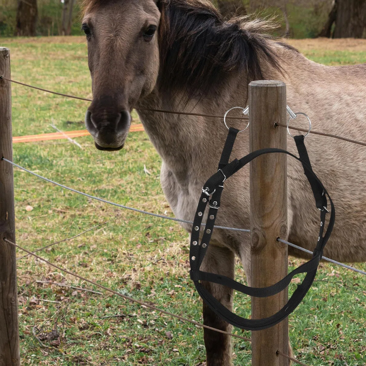 Cabestro de Cuerda para Caballo Negro Pequeño de Nylon para Montar