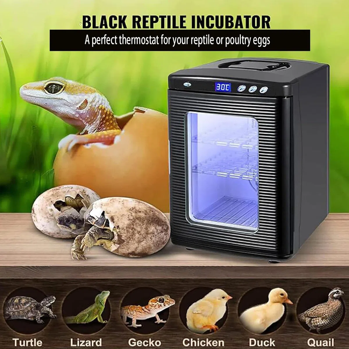 Incubadora de reptiles con termostato digital, control de temperatura ajustable para calefacción y refrigeración, ideal para camaleones, lagartijas y tortugas