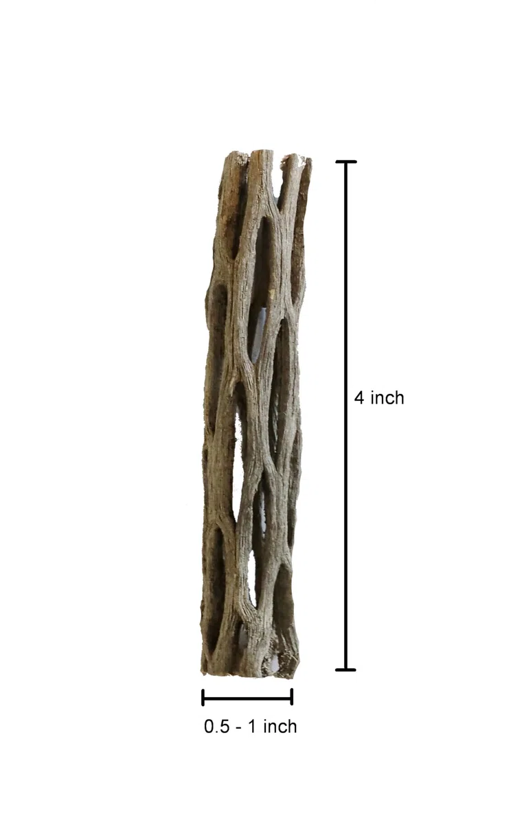 Madera de cholla natural para decoración de acuario, camarones y peceras (4 pulgadas (paquete de 5)