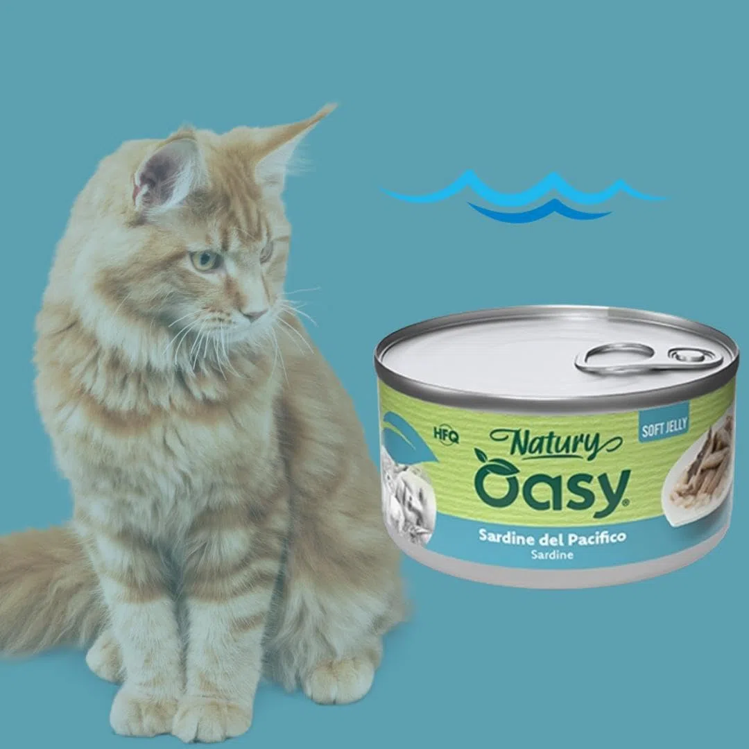 Oasy - Mascotas húmedas para gatos naturales con sabor a sardinas del Pacífico, suaves pelusas naturales de Soft Jelly para gatos adultos de todos los tamaños y razas | 12 latas de 85 gramos cada una.