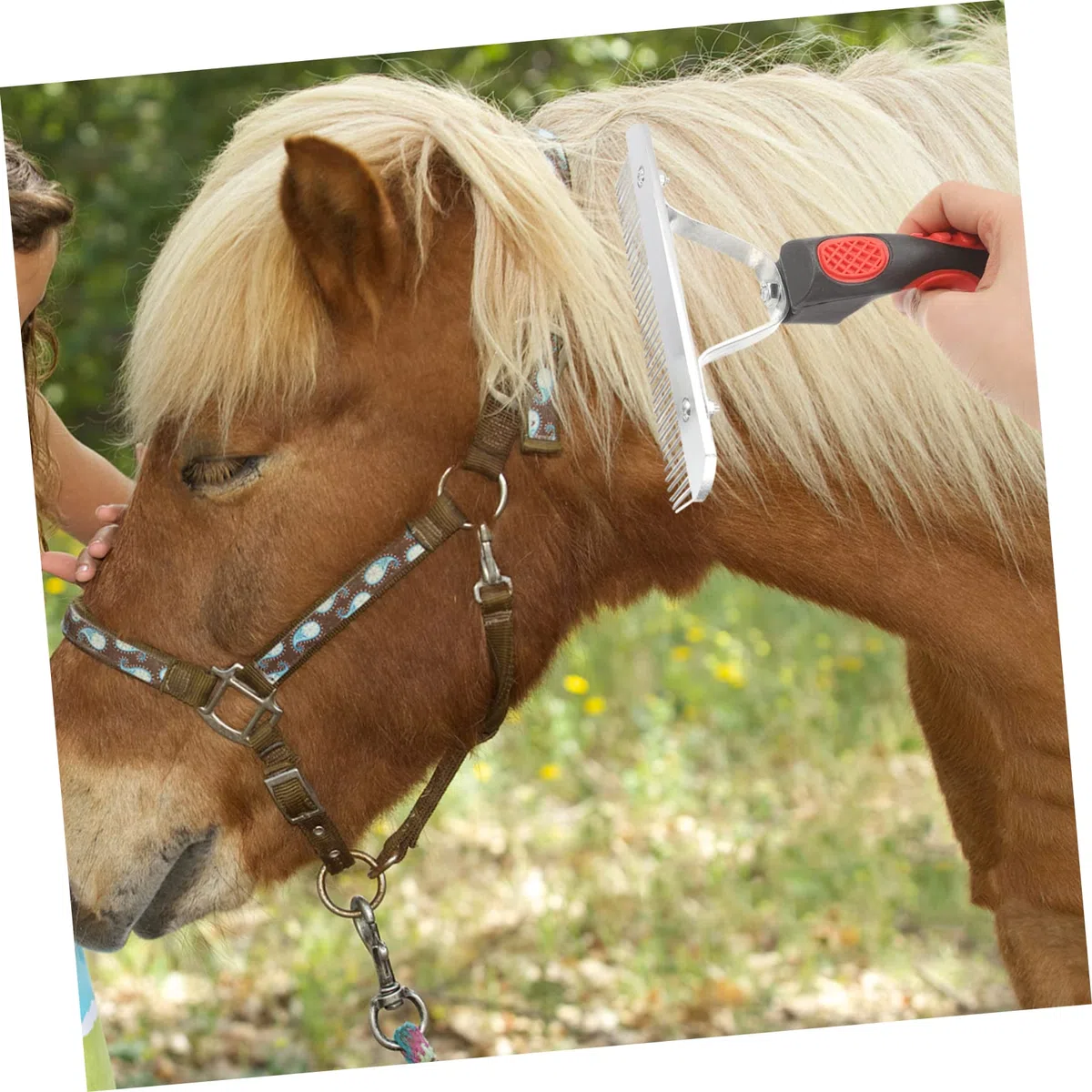 Happyyami 3 Piezas peine depilatorio cepillo de pelo de caballo mascota Eliminación cepillo de limpieza de caballo cepillo de limpieza de ganado práctico peine de pelo de caballo