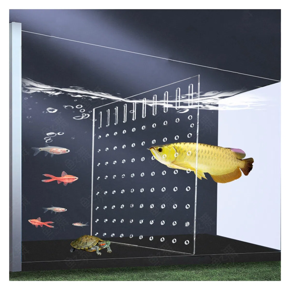 Divisor para Acuario con Ventosa, Separador De Peces Transparente Placa Transparente Panel Divisor Red De Separación para Peces(8mm Thick)