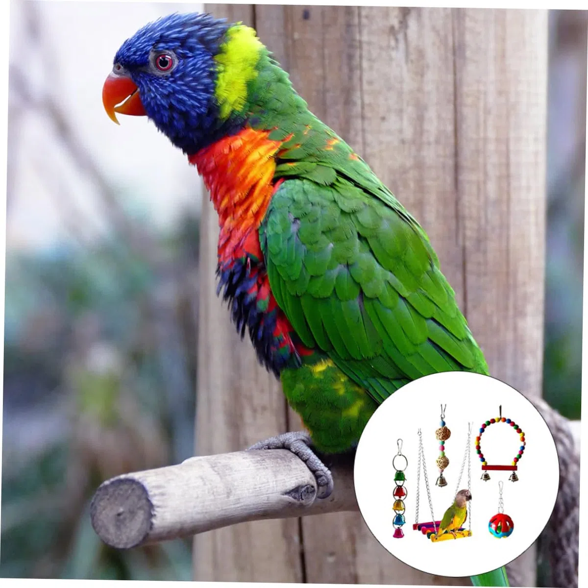 5 Piezas Juguetes para Pájaros Material Natural y Duradero Juego para Masticar y Desarrollar Inteligencia de Loros y Aves Pequeñas Ligero y Portátil