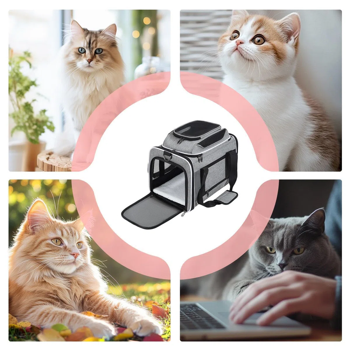 Transportín Blando De Gatos Plegable Expandible de Laterales con Cierres de | Transportín de Viaje para casa paseos coche senderismo acampada y salidas
