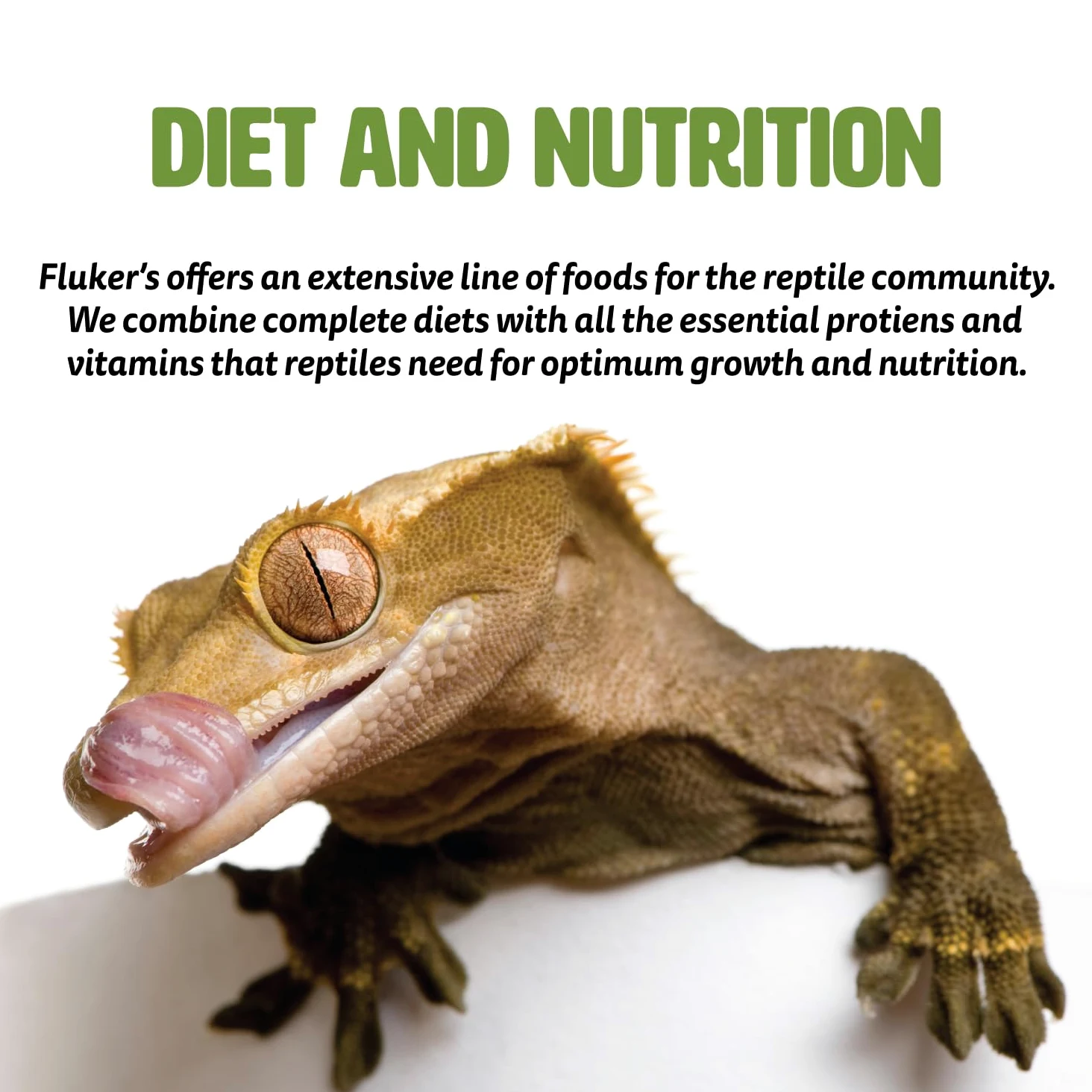 Fluker's Alimento de Tortuga acuática