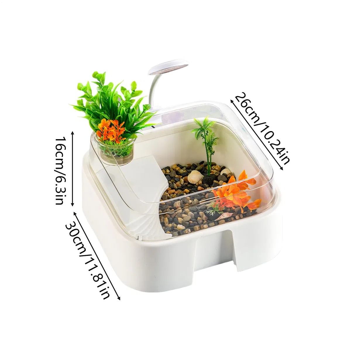 Acuario para Tortugas Terrario para Reptiles con Accesorios