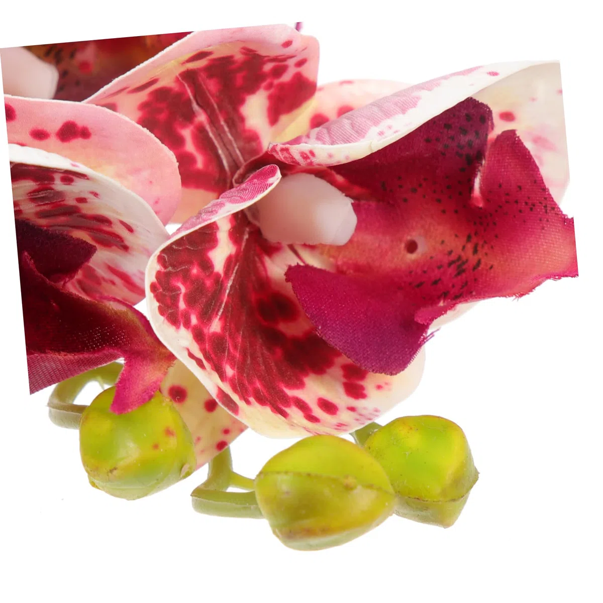 Angoily 4piezas Plantas Artificiales para Terrarios y Acuarios Decoración De Reptiles Accesorios para Tortugas y Lagartos Ornamentos Naturales Lifelike