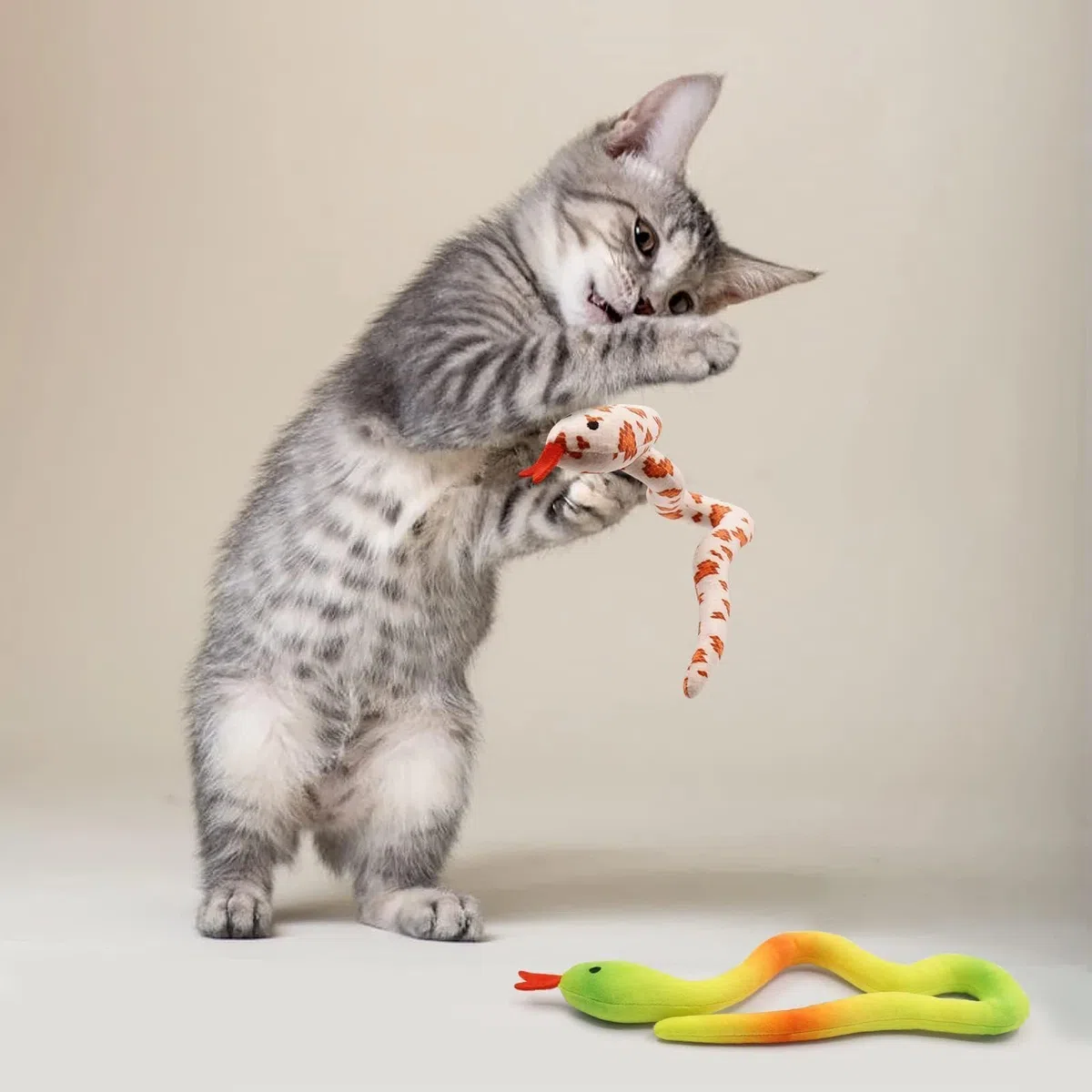 CiyvoLyeen Catnip Toys
