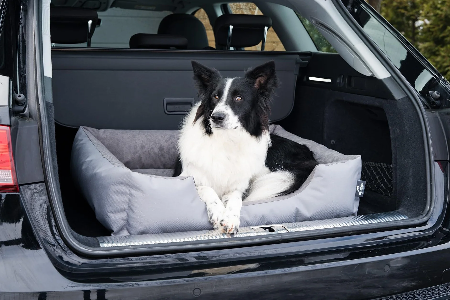 BedDog LUPI colchón para Perro S hasta XXXL, 24 Colores, Cama para Perro, sofá para Perro, Cesta para Perro, XL Negro/Gris