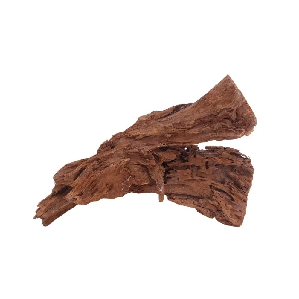 AquaOne Acuario de raíz decorativa L de manglar, madera auténtica, nº 4007, decoración de madera, plantas acuáticas, paisaje, musgo, naturaleza