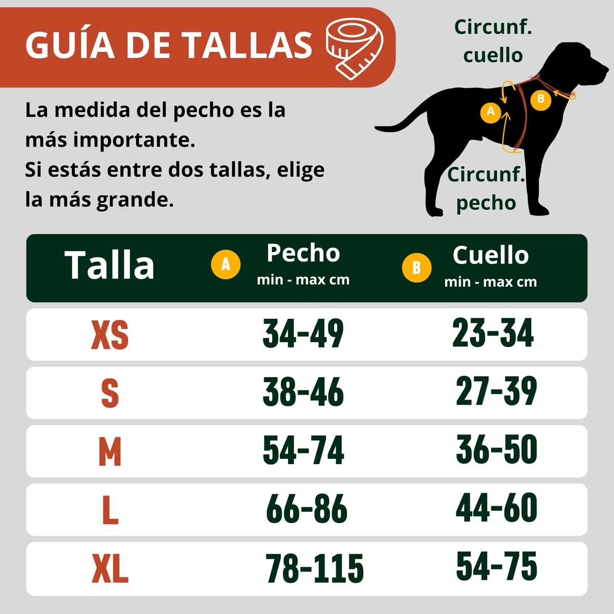 Nomadog Trailblazer Arnes Perro Grande Sin Tirones con Asa - Ajuste Óptimo, Reflectante 3M, Aluminio No Oxidante, Materiales Reciclados - Ideal para Perros Activos (L)