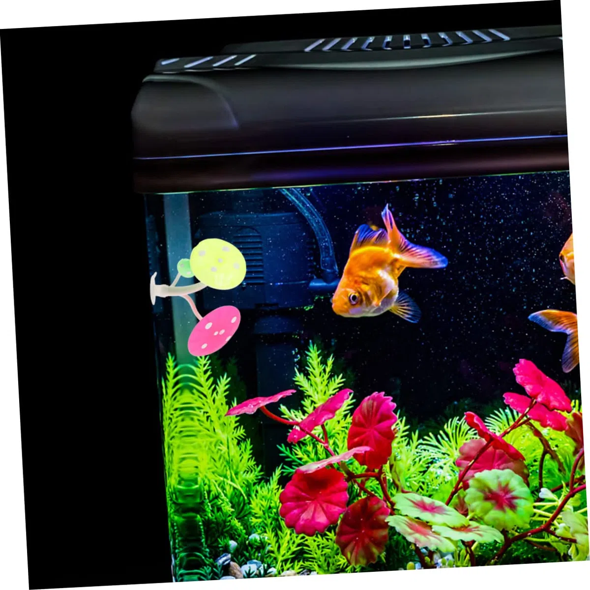 BESPORTBLE 4 Juegos Cama De Descanso del Acuario Tanques Alimentador Acuario De Camarones Decoración De Pecera Decoraciones De Acuario Calentador Alimento Aire Gel De Sílice 2 Piezas * 4