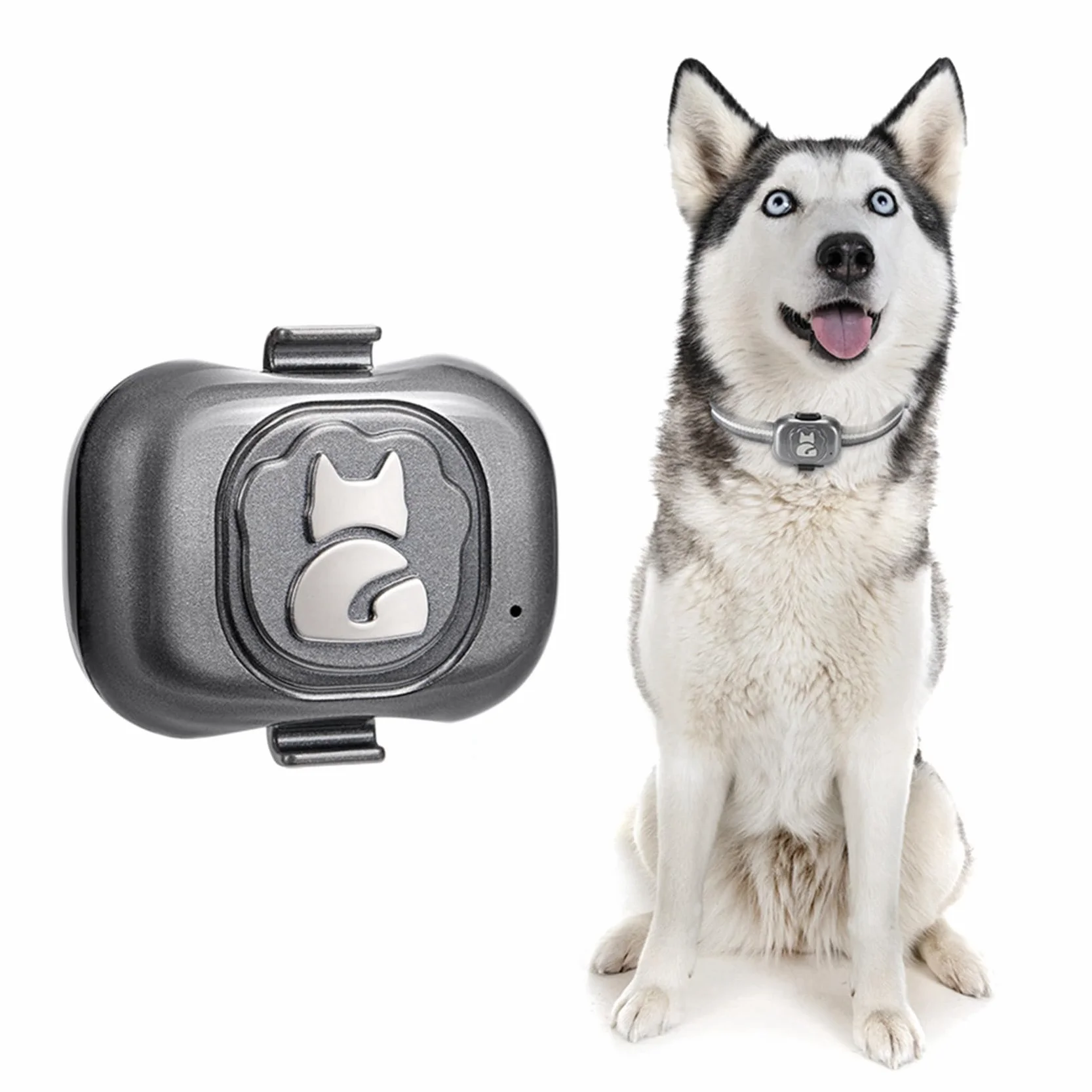 2X Rastreador GPS 2G para Localizador de Perros Dispositivo Antipérdida Una Prueba de Agua Buscador de Objetos para Teléfonos Inteligentes Alarma Pequeña Antirrobo para Mascotas