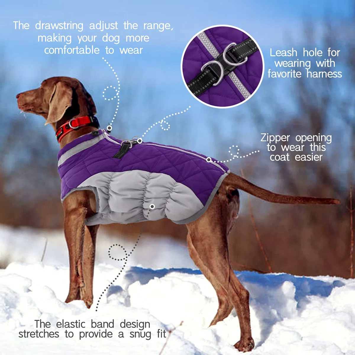 FUAMEY Chaleco acolchado para perro – Abrigo reflectante de invierno para perro, resistente al viento, chaqueta de invierno, cómoda ropa de perro para clima frío – Chaleco a prueba de nieve para