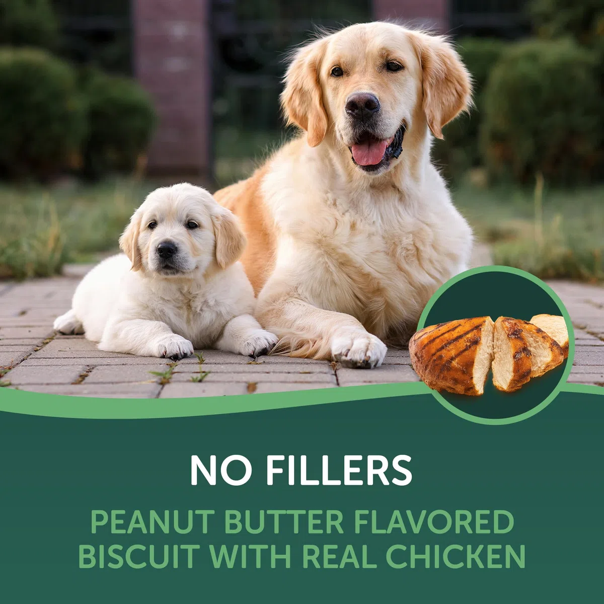 Healthfuls Galletas para Perros con Sabor a Pollo y Mantequilla de maní, 16 onzas