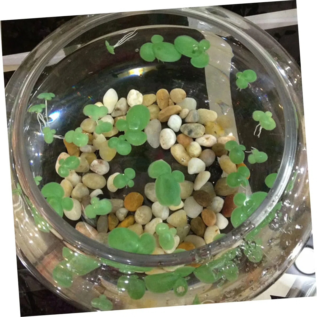 270piezas Plantas Acuáticas Artificiales para Acuarios Decoraciones Flotantes De Lentejas Falsas Ornamentales para Peceras y Tanques De Agua Diseño Natural y Aportan Vitalidad Al