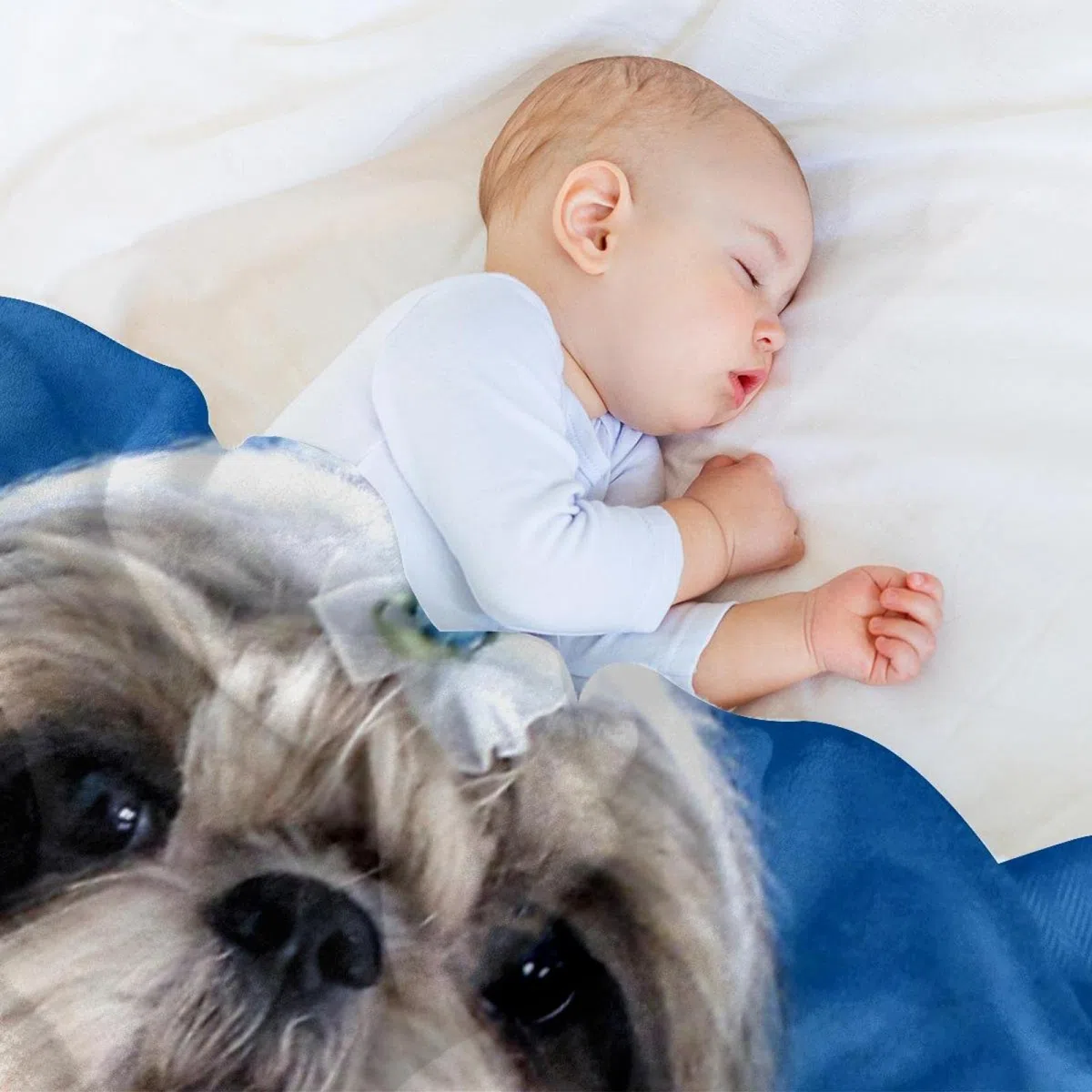 Manta de forro polar, súper suave, lujosa manta de cama Shih Tzu perro cachorro