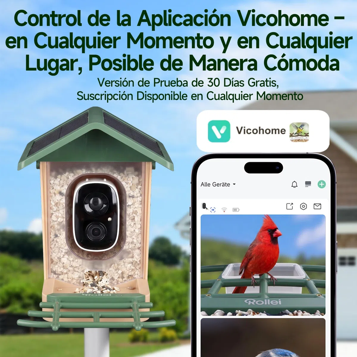 Comedero Inteligente Pájaros, Rollei Smart Bird Feeder 3K Comedero Pajaros | Solar con Cámara Exterior AI Reconocimiento de 10000 Pájaros Impermeable IP65 Visión Nocturna LED Audio Bidireccional