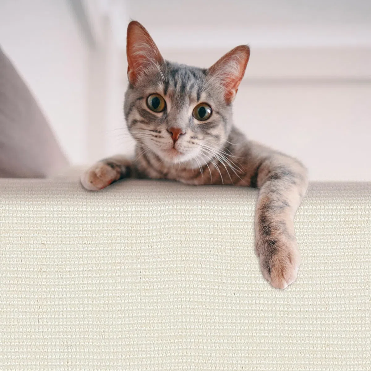 TOPBATHY Funda para Reposabrazos de Sofá para Gatos, Protector contra Arañazos Garra de Sisal, Alfombrilla Antiarañazos Gris Claro para Muebles, Suministros para Mascotas, Uso Doméstico