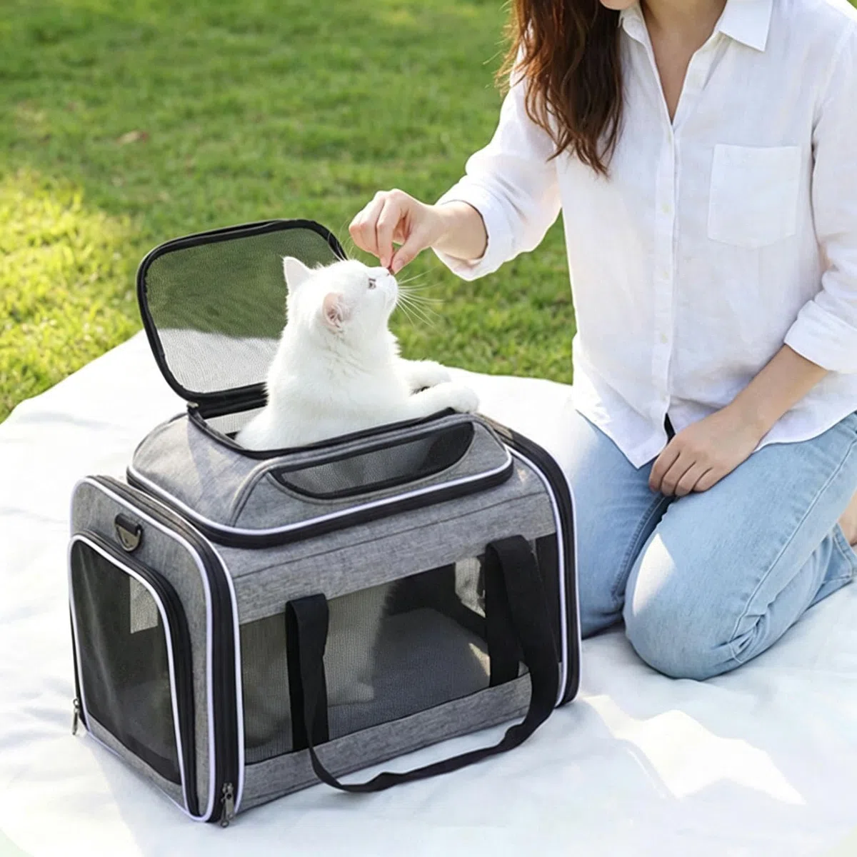 Transportín Blando De Gatos Plegable Expandible de Laterales con Cierres de | Transportín de Viaje para casa paseos coche senderismo acampada y salidas