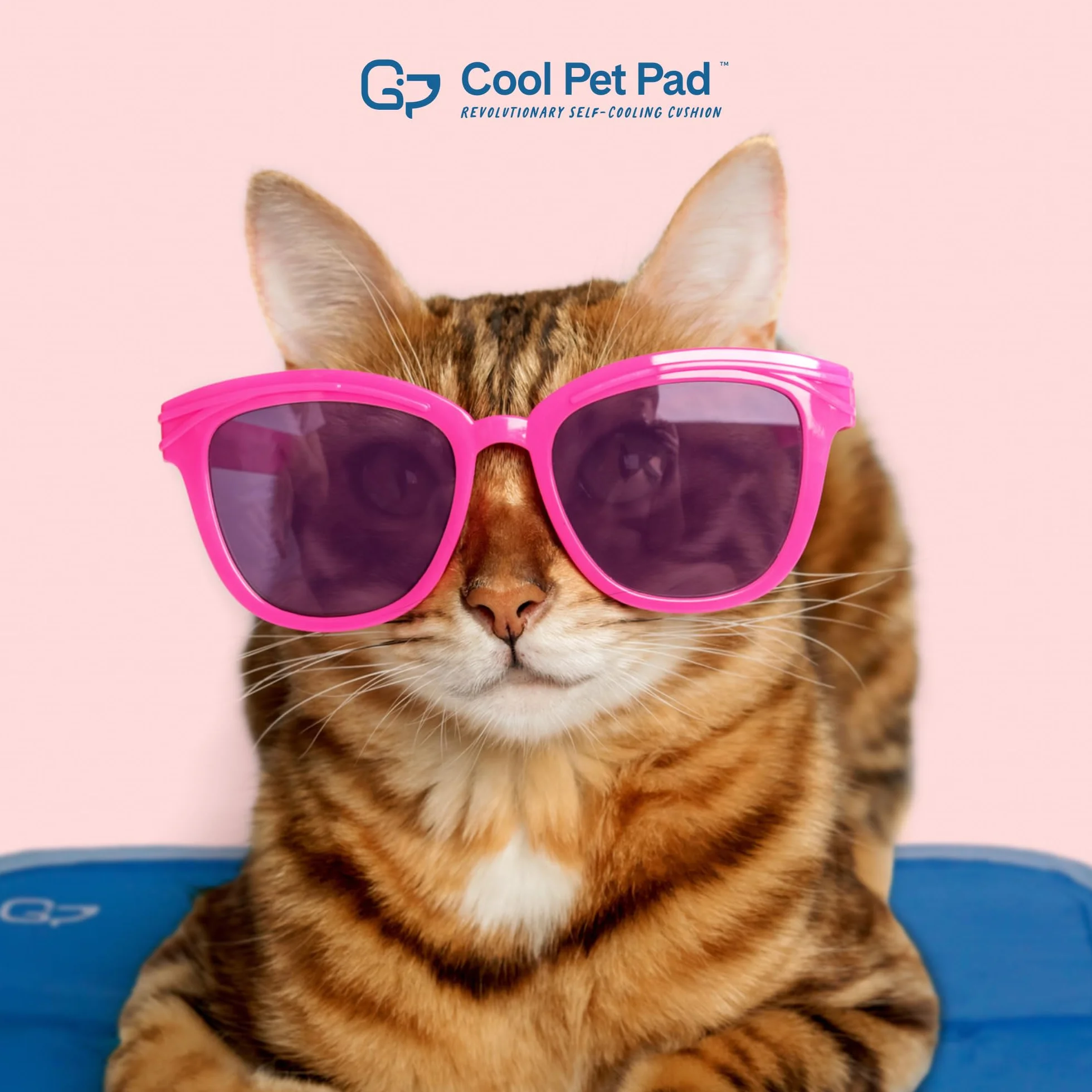 THEGREENPETSHOP Cool Pet Pad Alfombrilla autorefrescante, Mediana, activada por presión para Perros y Gatos de 53-114 cm, Gel no tóxico, no Necesita Agua, Azul