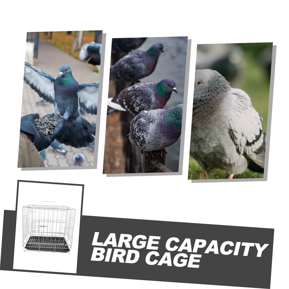 DOITOOL Jaula para Loros y Pájaros Gran Capacidad Acero Inoxidable Fácil De Limpiar y Mantener