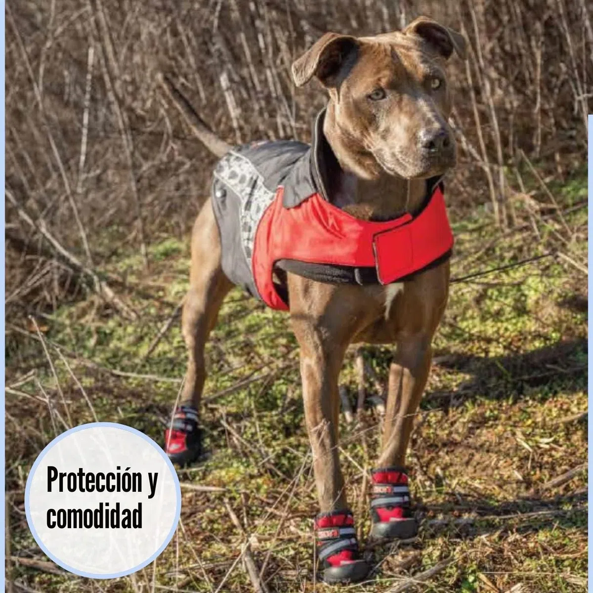 KONG Zapatos deportivos para perros muy grandes, paquete de 4 pulgadas, talla XL, protección de patas con acolchado, cómodo y fácil de usar, material robusto y lavable