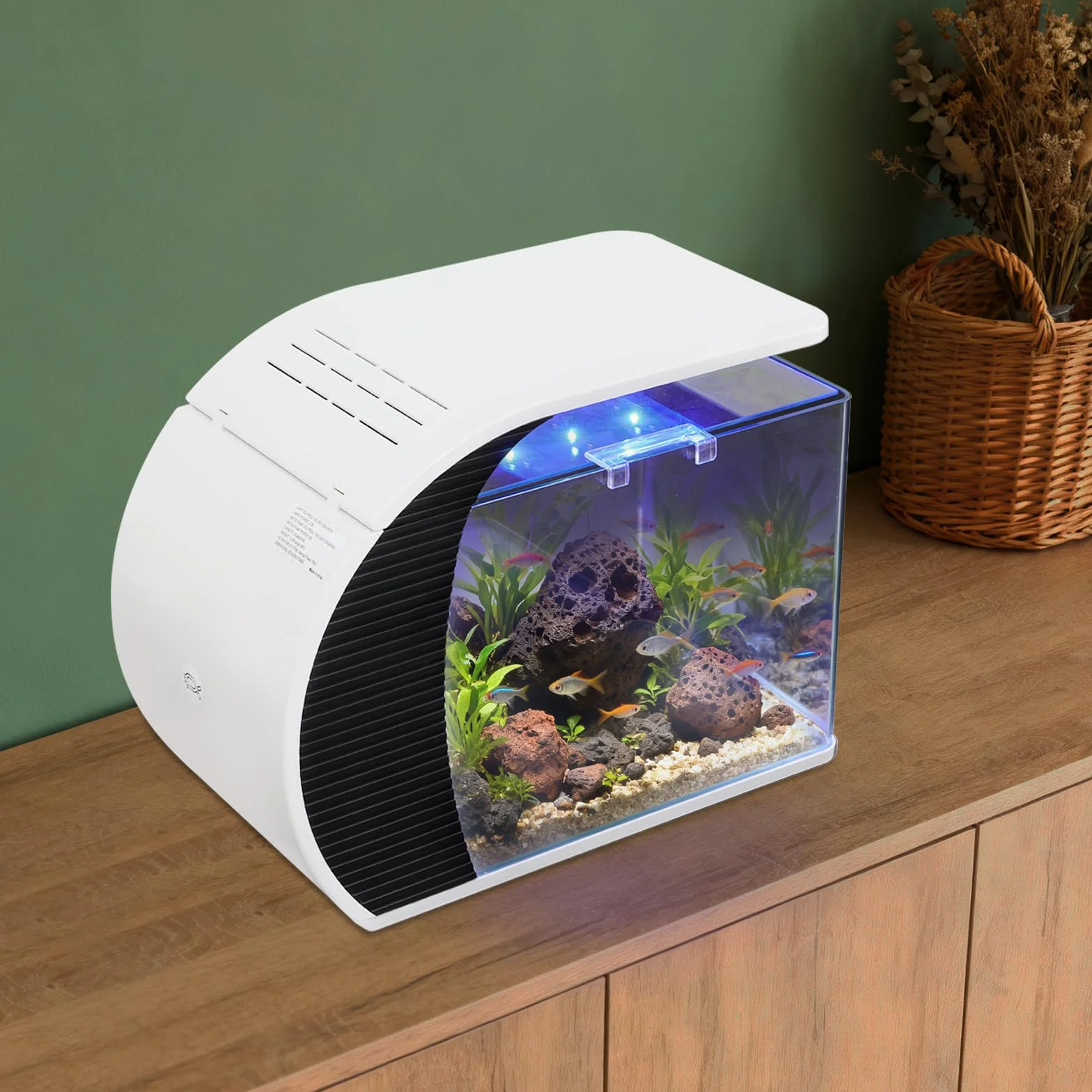 Acuario pequeño de cristal con iluminación LED de 19 litros | Adecuado para mantener guppies, peces pequeños y plantas acuáticas en el dormitorio u oficina