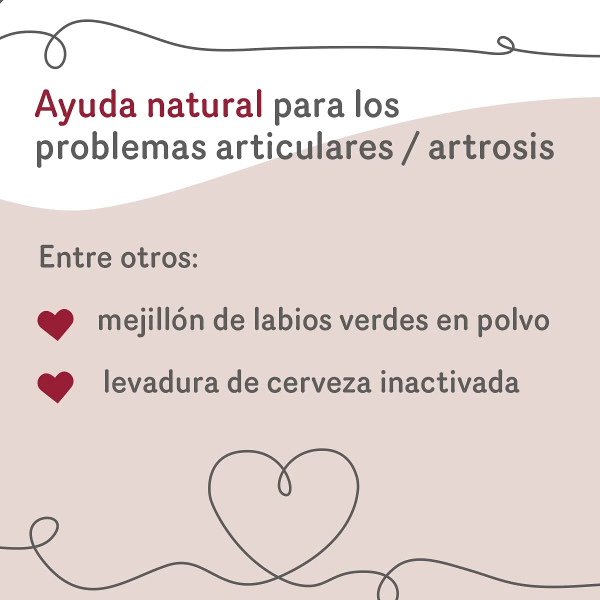GRAU - Joint Care Aprox. 185 uds., alimento complementario para Perros