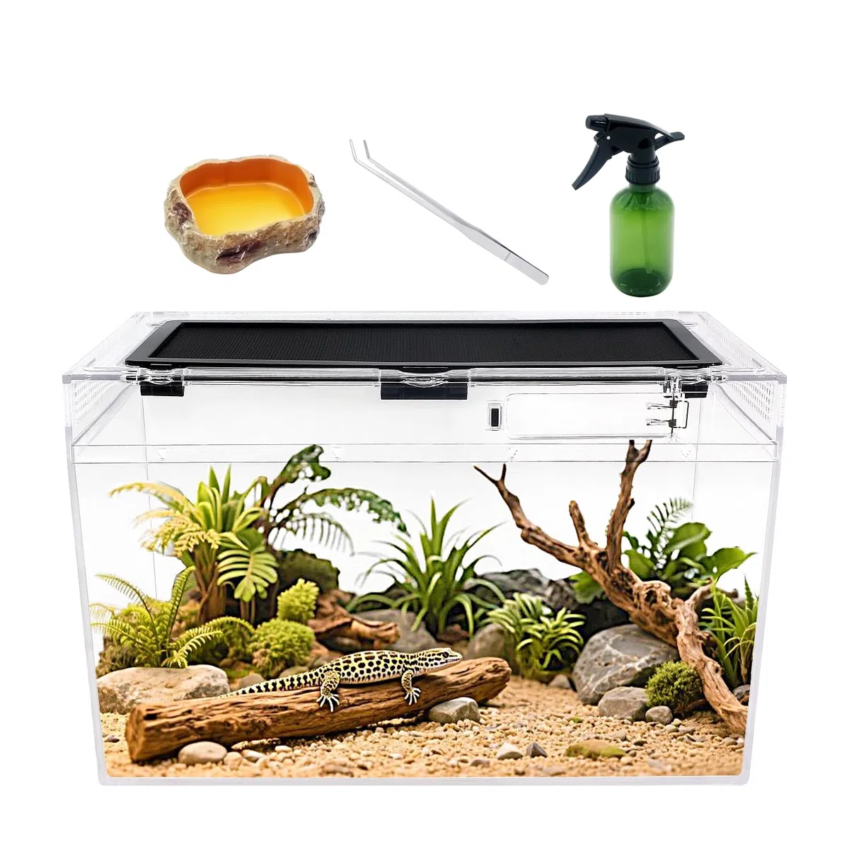Reptile Growth Kit de terrario para reptiles, 40.6x20.3x25.4 cm, jaulas de hábitat de anfibios, cuenco de agua para alimentos, lavabo con ventosa para lagarto barbudo Dragon Gecko