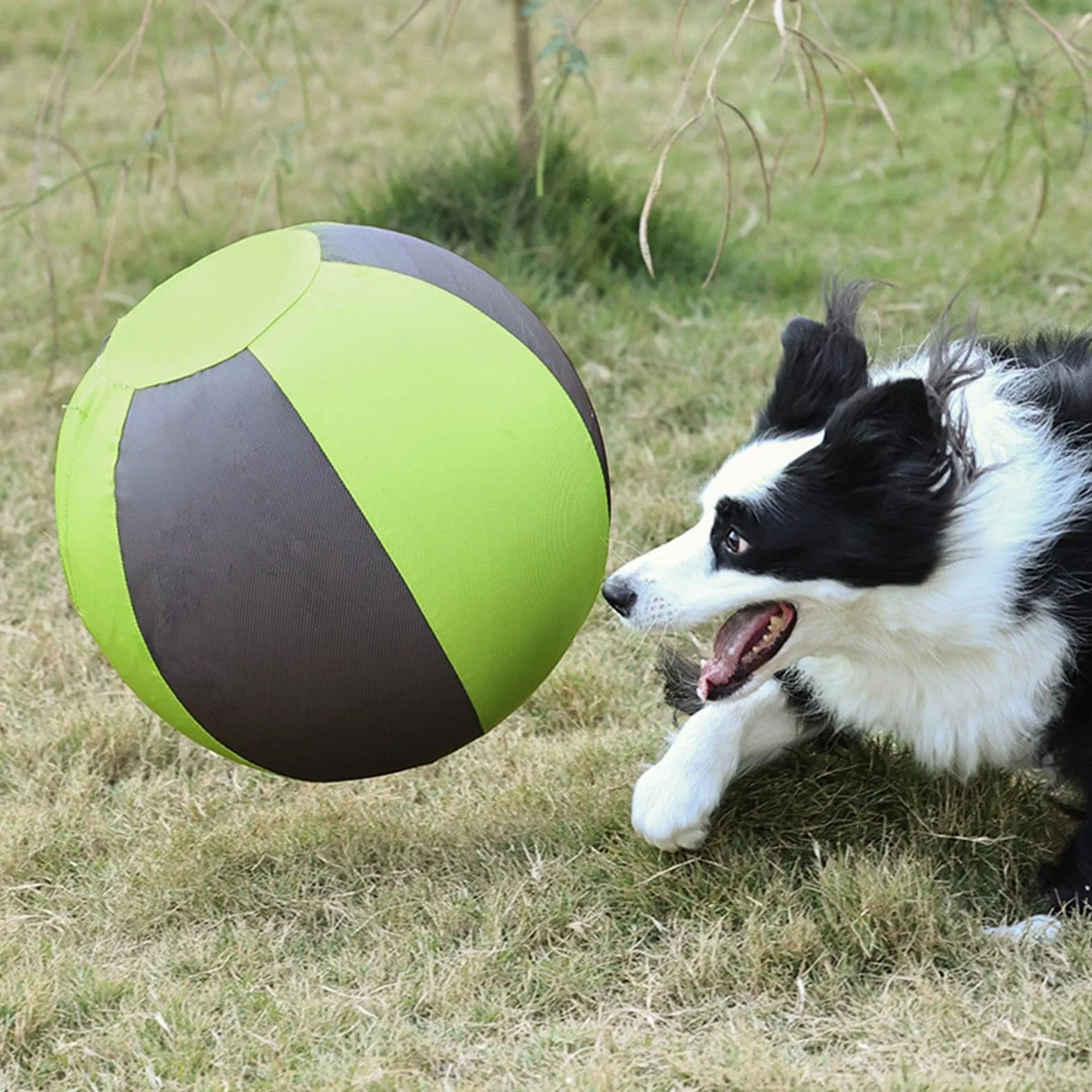Pelota Pastoreo Perros Mordedor Inflable Cachorros | Pelota Adiestramiento Cachorros Dueños de mascotas, amantes de animales, entrenadores, patio, jardín, parque, piscina
