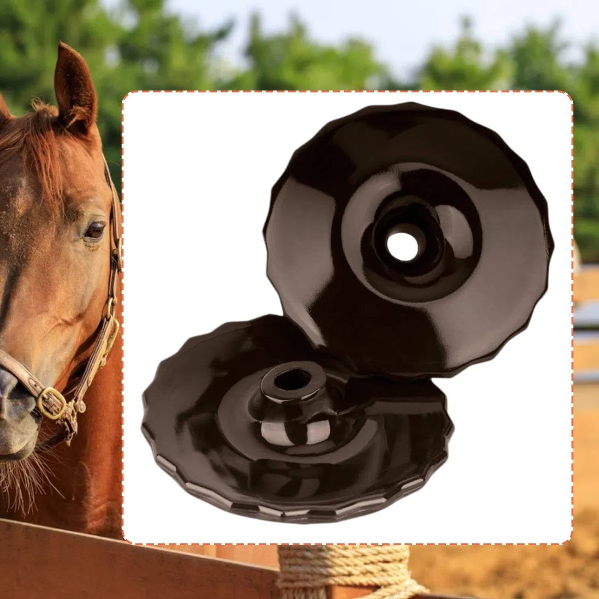 Par Protectores para Caballos, Suministros Repuesto para práctica, Envoltura Deportiva equina Flexible y cómoda, MarrÓn
