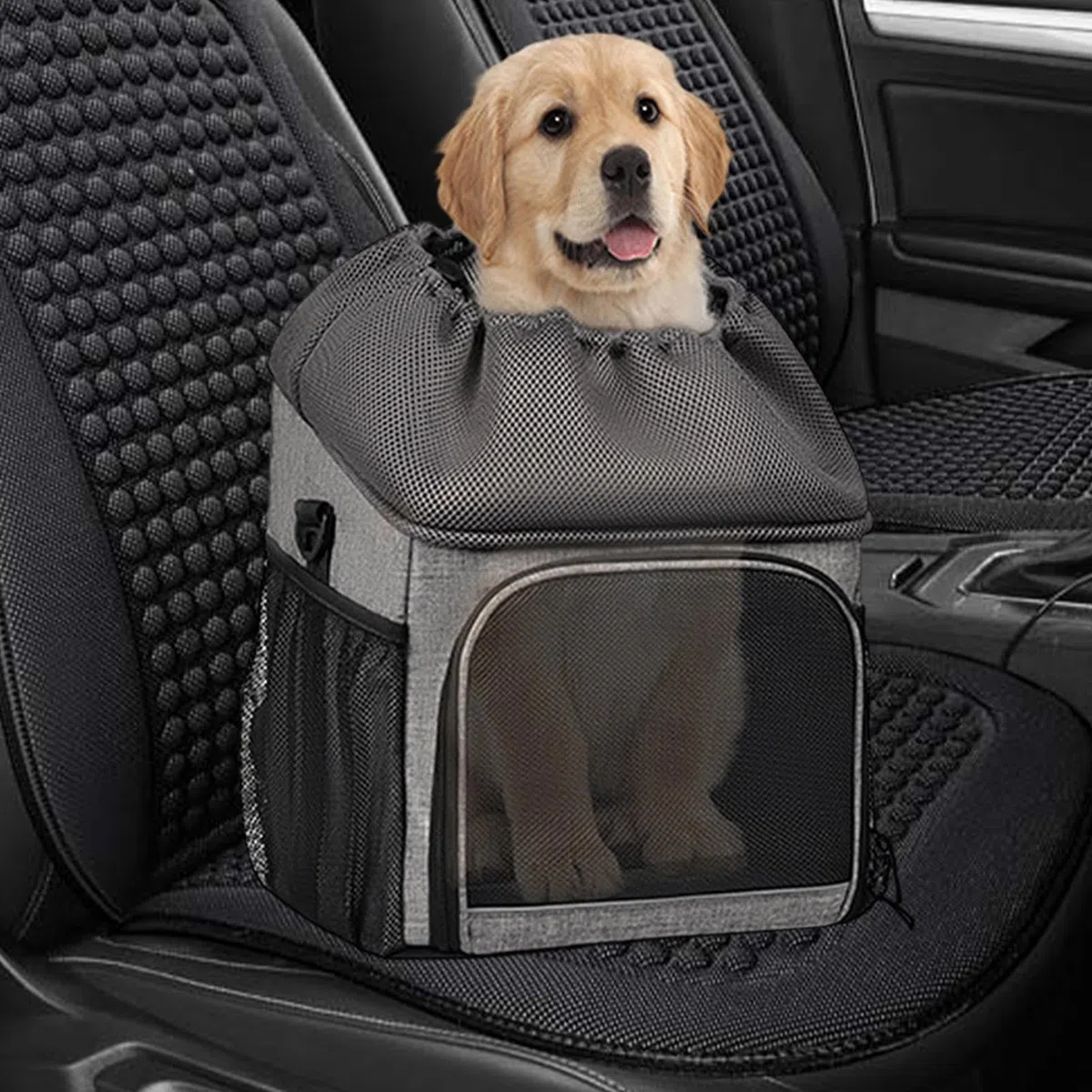 Transportín para Bicicleta Transportín Canino Transpirable | Accesorio Ligero Para Paseos Montaña Acampada Aventuras Playa