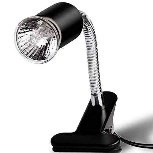 Calefacción para mascotas Reptile Calefacción Bombilla Soporte UVA UVB Lámparas Set para Basking Tortuga Lizard 25W 50W 75W Regulador de temperatura (Color: 25W 50W 75W Lamp)