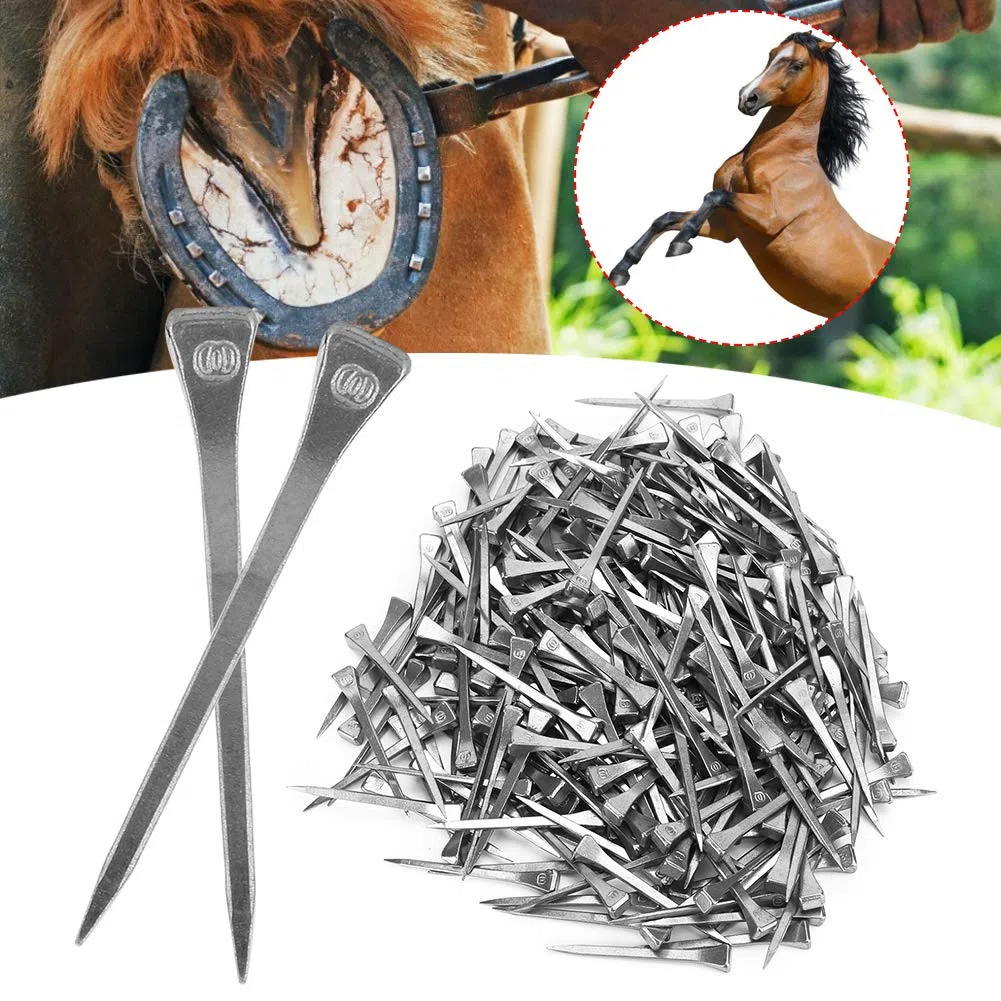 Los Clavos De Herradura, Los Clavos De Herradura De Acero, Los Clavos De Cabeza De Caballo con Doble Cabeza, Son Una Herramienta para Mantener La Pezuña Estable