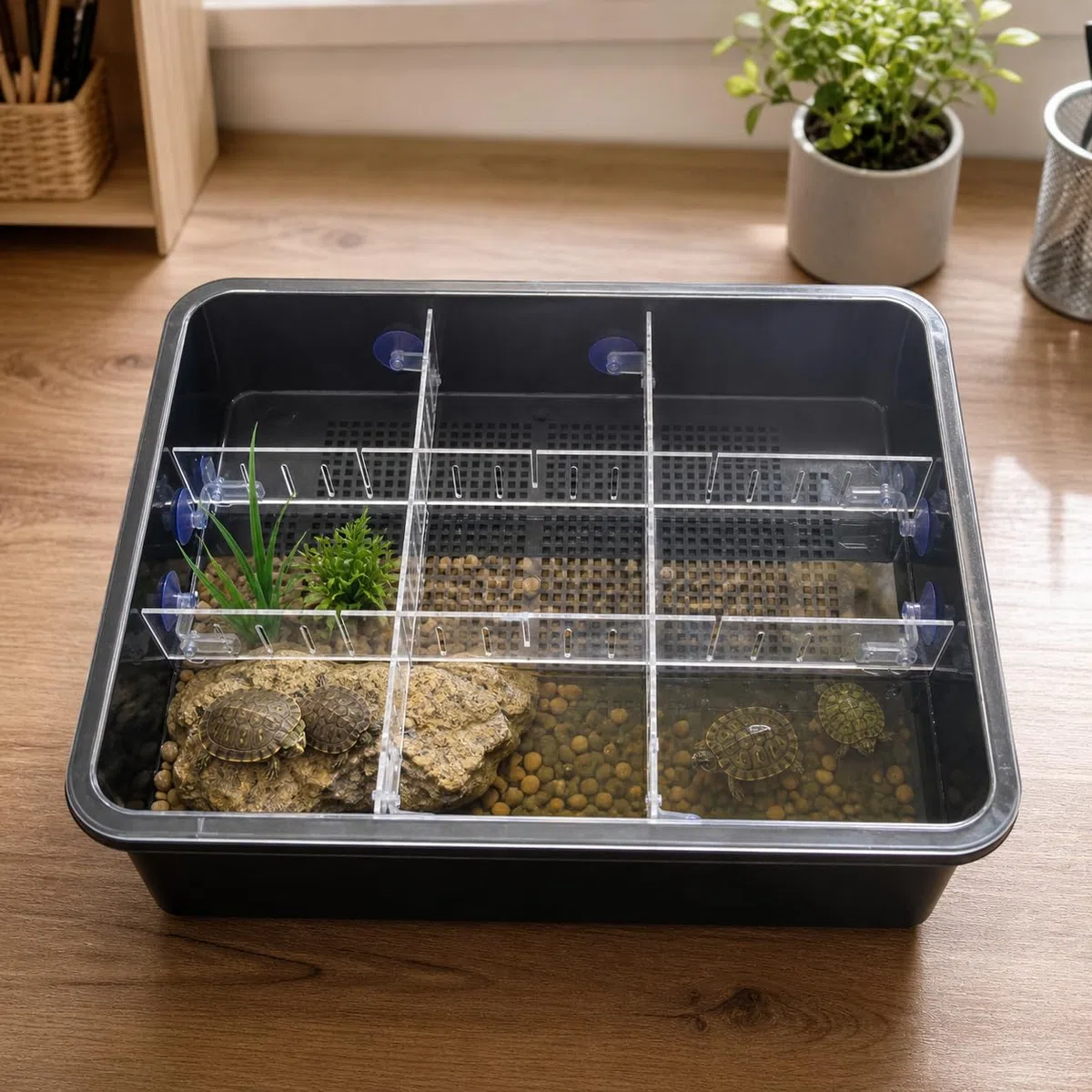 Tanque Reptiles, Caja Cría, Bandeja Negra Doble + 9 Rejillas