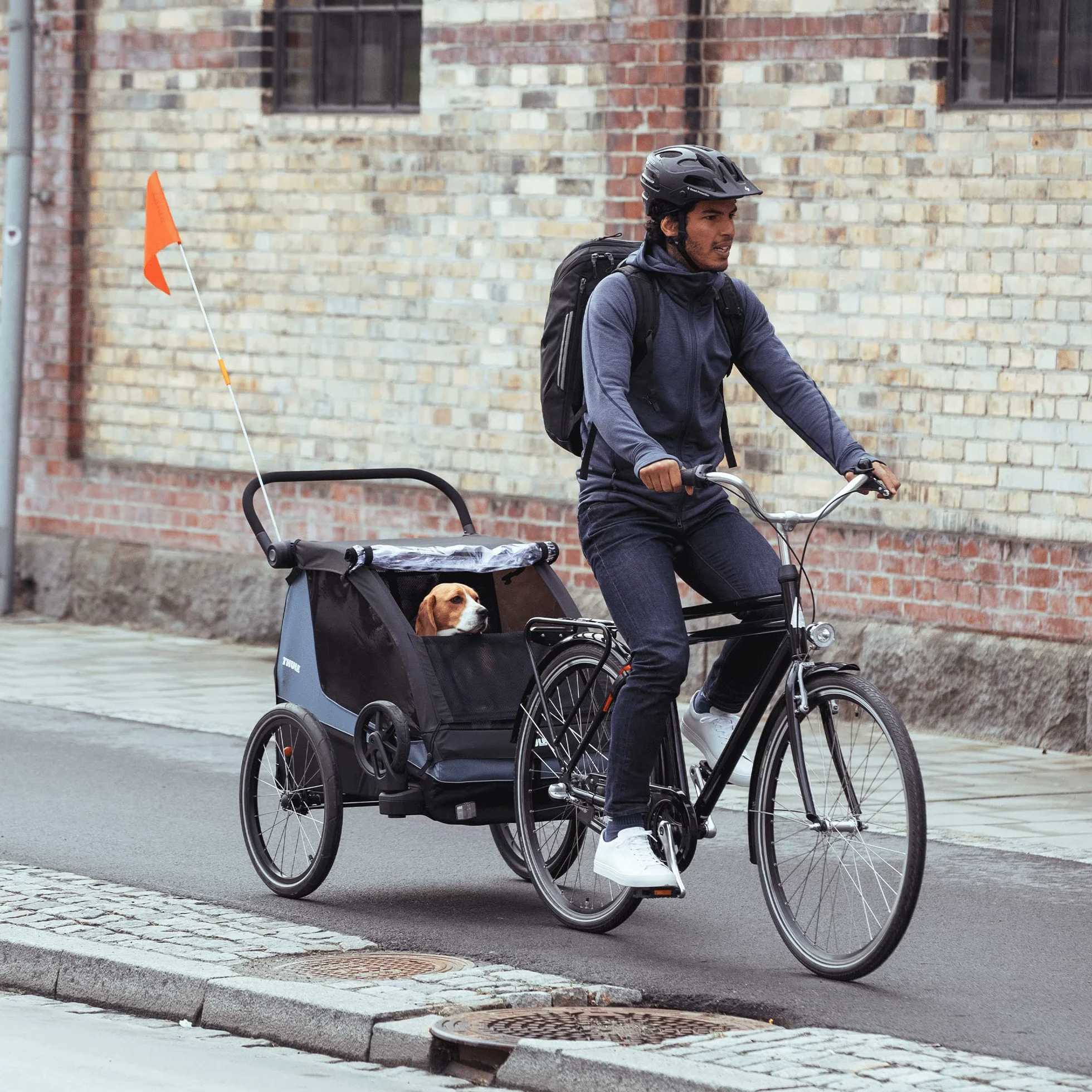 Thule, Courier Dog Trailer Kit, Kit De Remolque De Perros, Neutral, U, Admirador Unisex