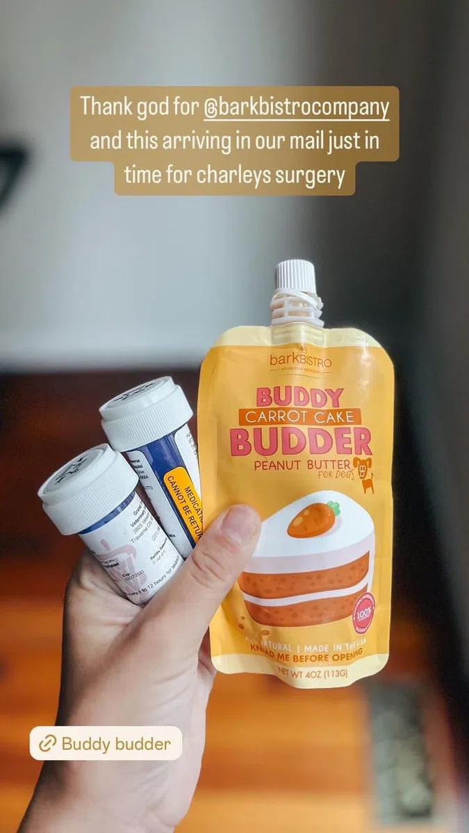 BUDDY BUDDER Bark Bistro Company - Paquete de 6 paquetes de sabores mixtos, mantequilla de maní 100% natural para perros, golosinas saludables para perros con mantequilla de maní, fabricadas en