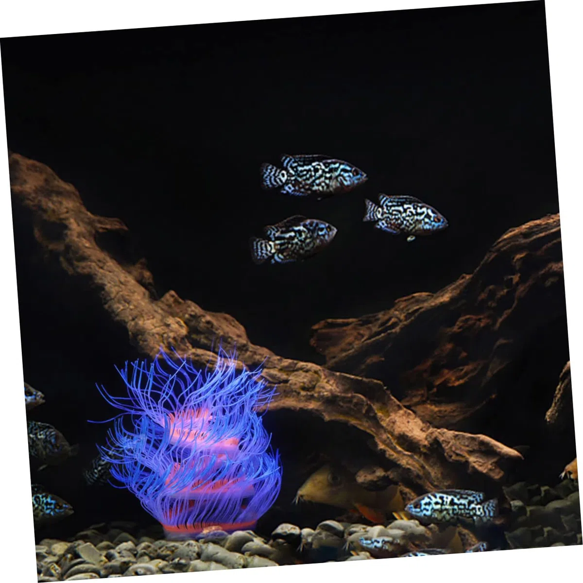 Happyyami 4 Piezas Coral Artificial Fluorescente Agua Bomba de Aire del Acuario Calentador decoração casa decoración casa pecera Animal Marino Hierba del Tanque de Peces Gel de sílice