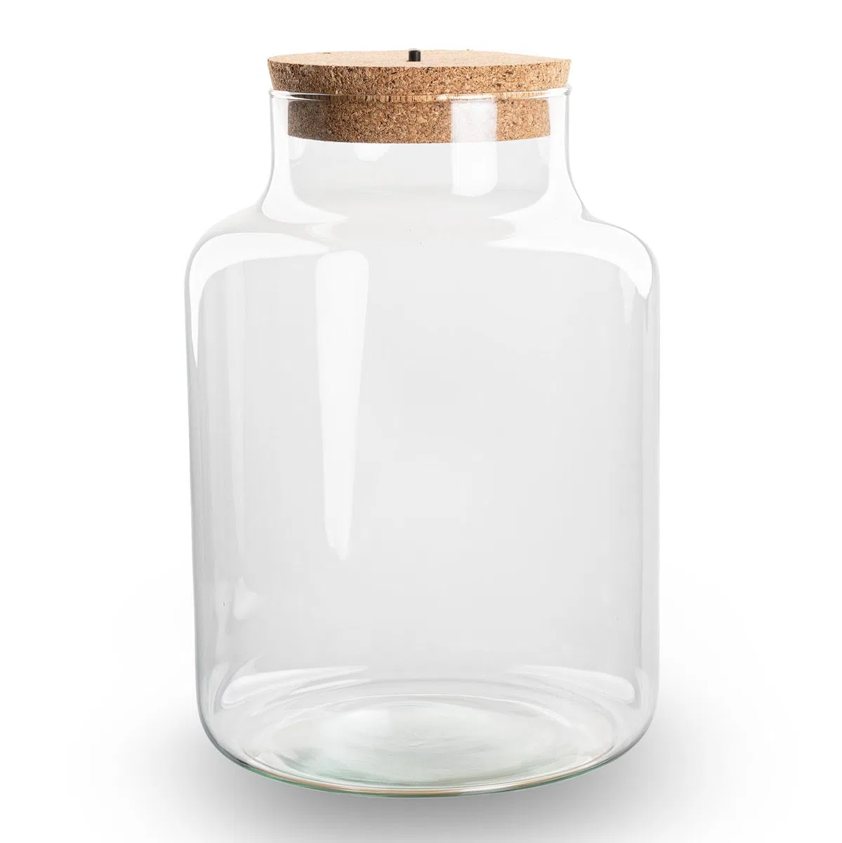 Terrario botella de cristal cerrada con corcho e iluminación LED – Altura 24,5 cm Ø17 cm – Terrario decorativo para plantas de vidrio reciclado