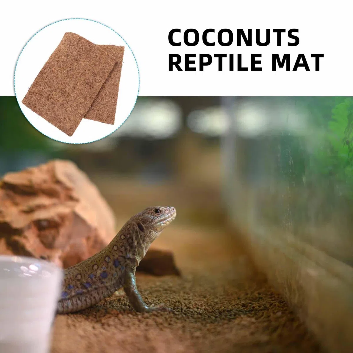 Kisangel Estera de Fibra de para Tanque de Reptiles Paquete de 4 Suministros para Dragones Barbudos Hábitat Seguro Y Cómodo