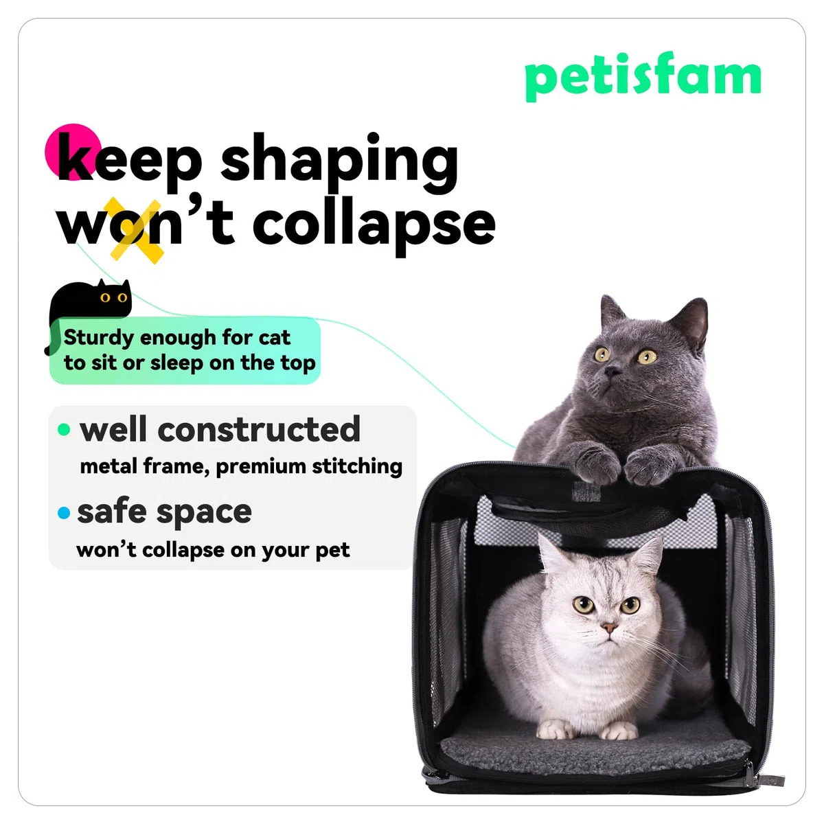 Petsifam - Transportín para mascotas (2 gatos)