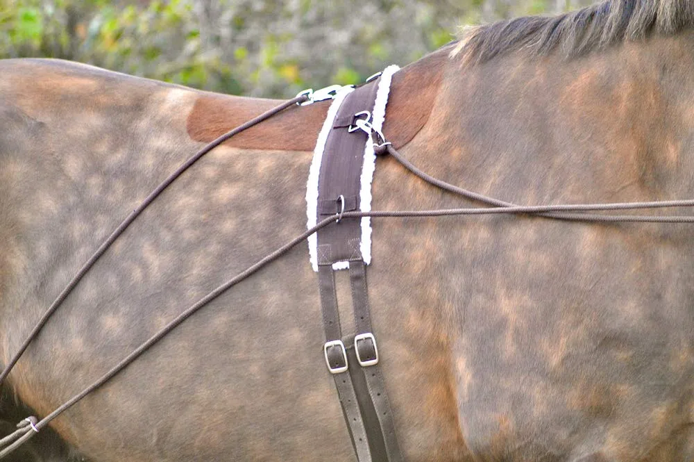 Ayuda para entrenamiento de caballo con rodillo de cuerpo, talla única, mazorca, pony, negro y marrón (morado)