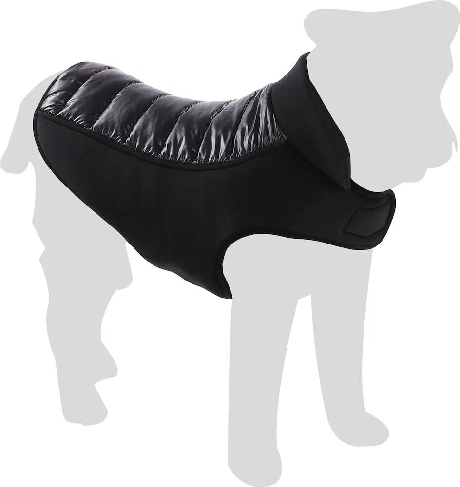 Flamingo Perro Abrigo Jakaro Negro - Tamaño 55cm (A: 55 cm, B: 40-48 cm, C: 68-74 cm) - Ideal para Border Collie, Cocker Spaniel, Labrador, Vizsla y Beagle