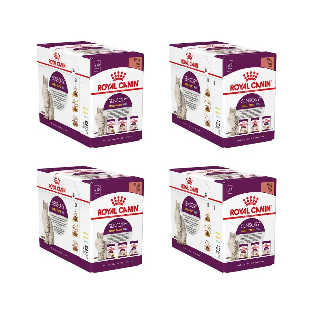 Royal Canin Sensory Multipack | Pack de 4 | 4 x 12 x 85 g | Alimento Completo para Gatos Adultos | Olor, Sabor, Sensación