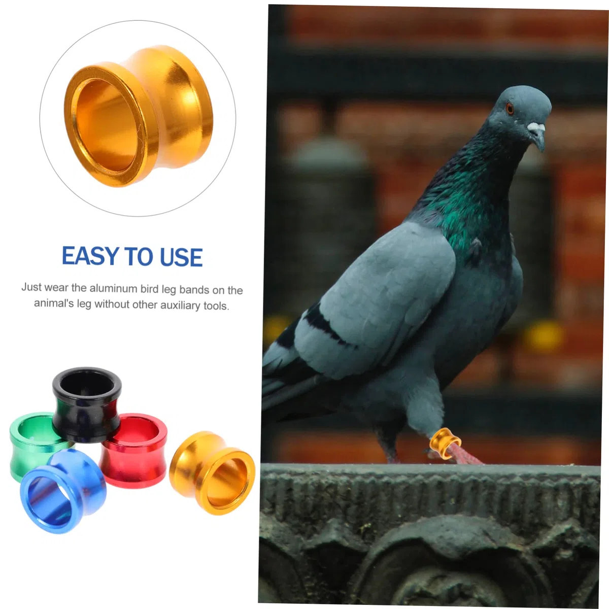 BESPORTBLE 100piezas Anillas De Identificación para Palomas Anillos De para Aves Suministros para Distinción De Aves Domésticas